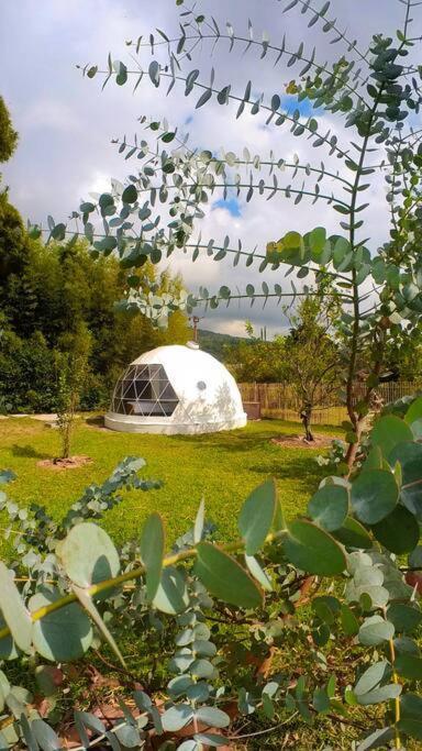 Apartmán Dome In The Heart Of Boquete. Exteriér fotografie