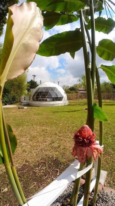 Apartmán Dome In The Heart Of Boquete. Exteriér fotografie